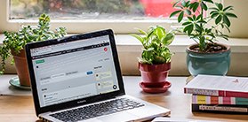 Grant writing Services